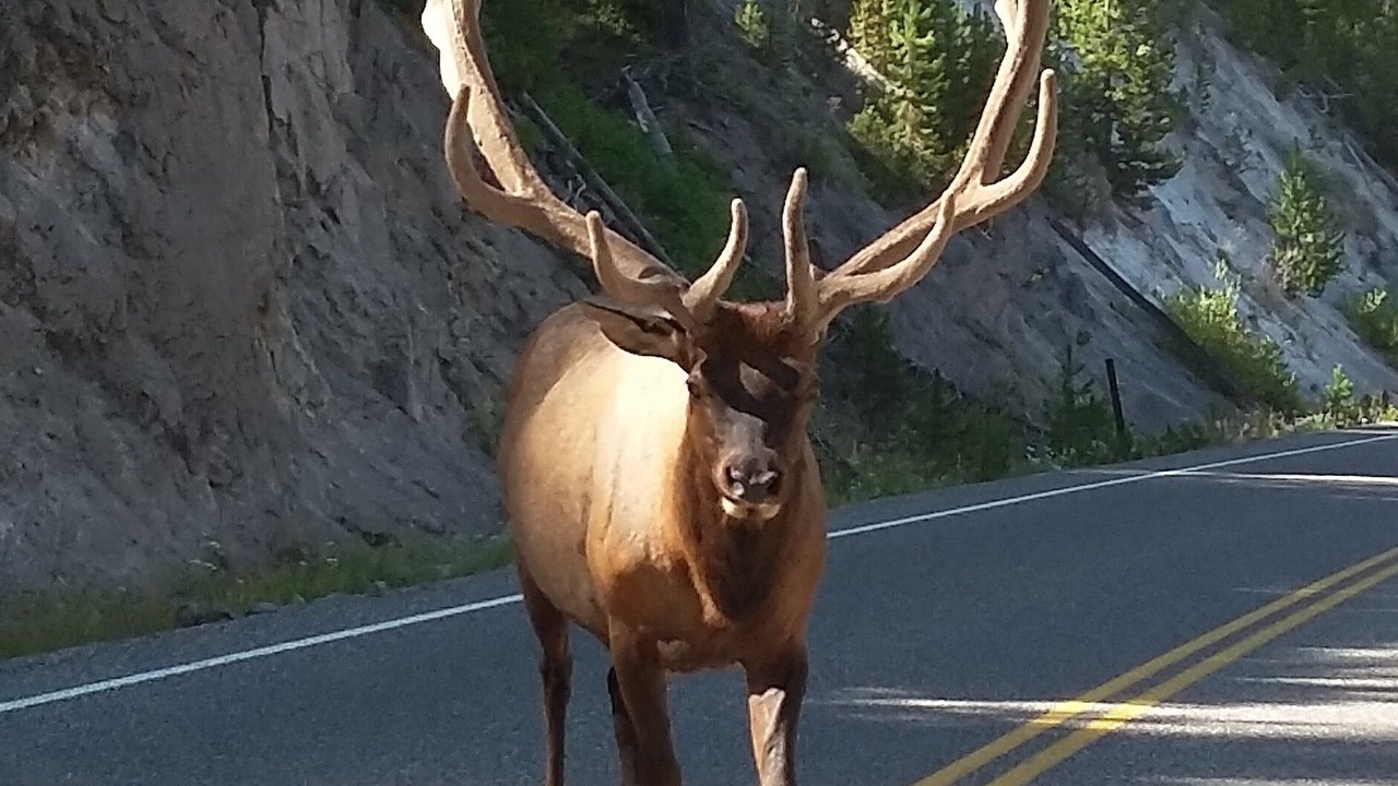 Photo of Others in Polson