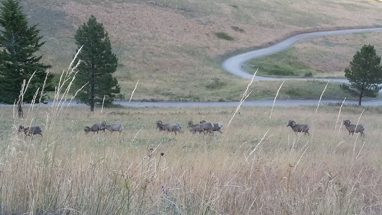 Photo of Outdoor in Polson