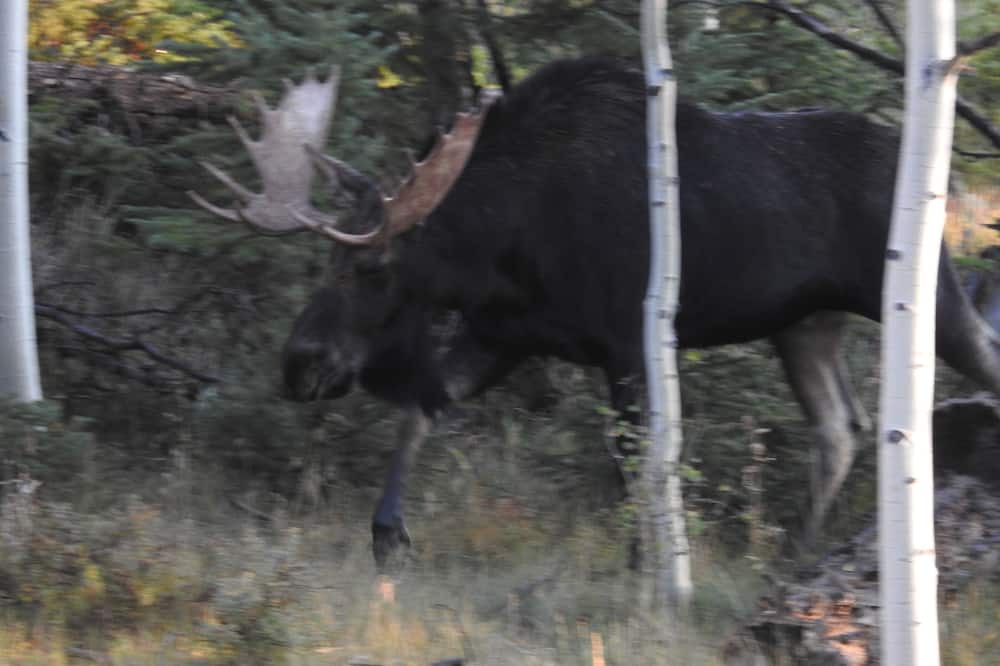 Photo of Outdoor in Crystal Lake