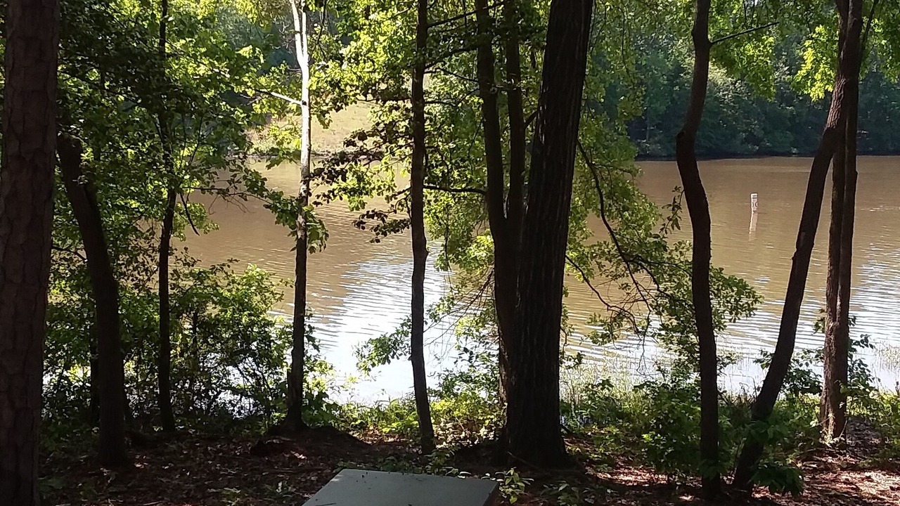 Photo of Outdoor in Albemarle