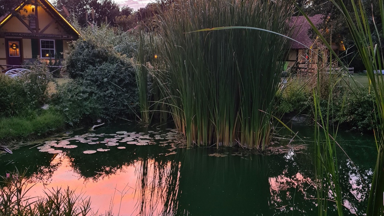 Photo of Outdoor in Fredericksburg