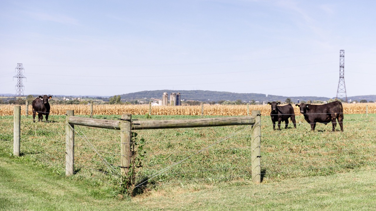 Photo of Outdoor in Leola