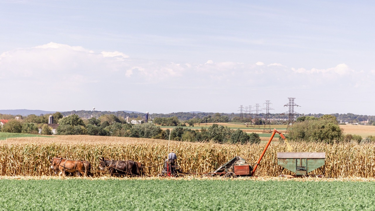 Photo of Outdoor in Leola