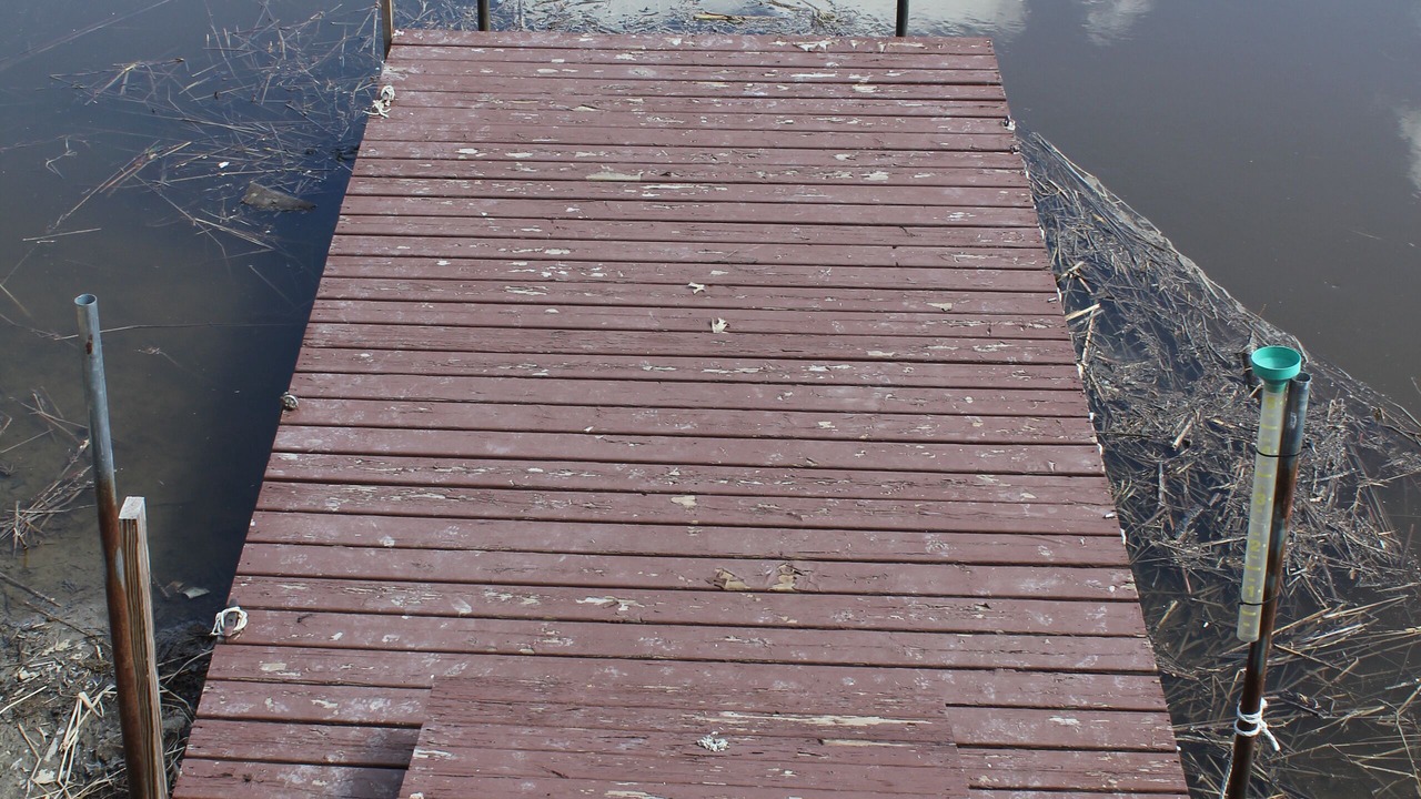 Photo of Others in Baudette