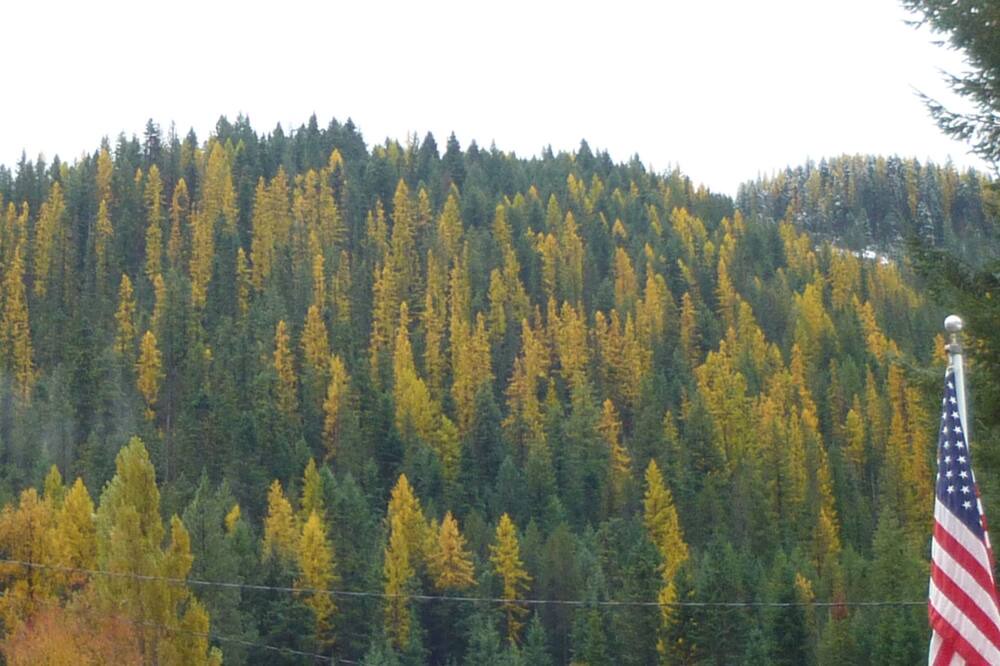 Photo of Others in Mullan