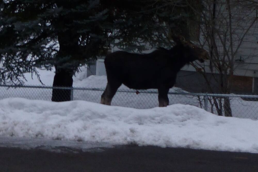 Photo of Outdoor in Mullan