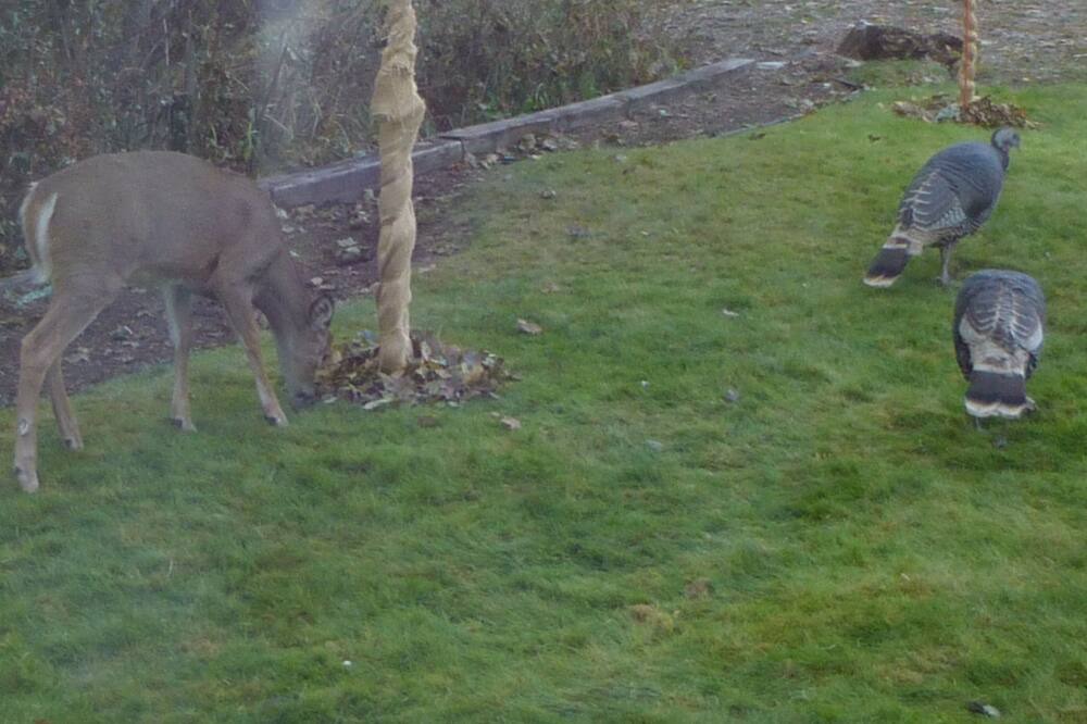 Photo of Outdoor in Mullan