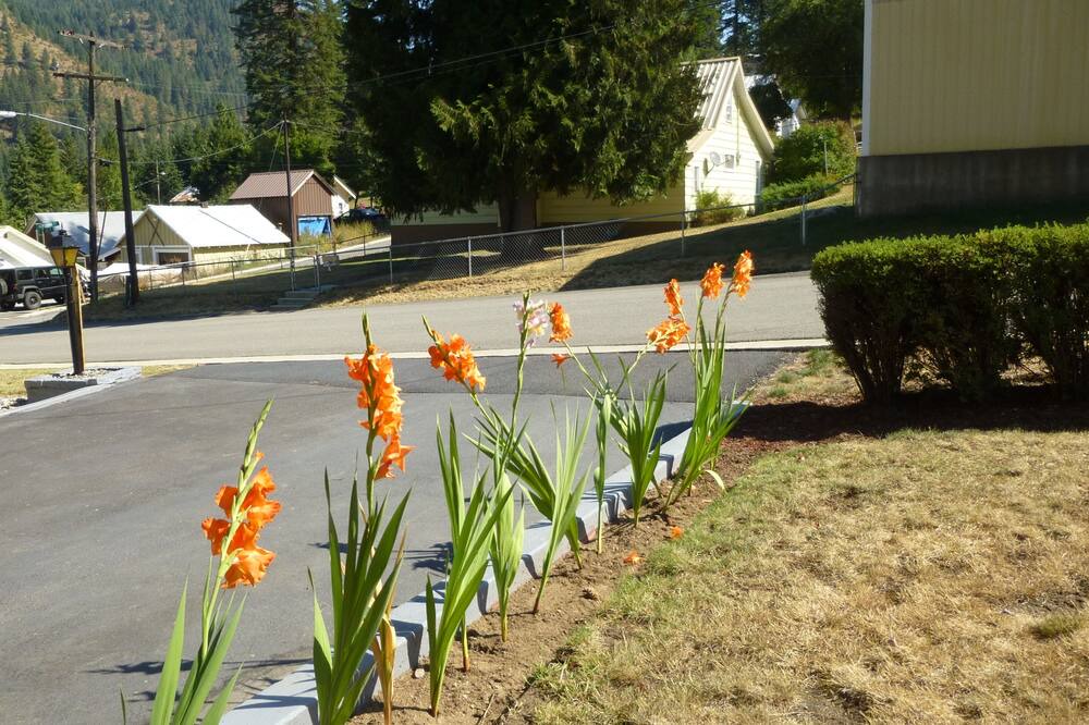 Photo of Outdoor in Mullan