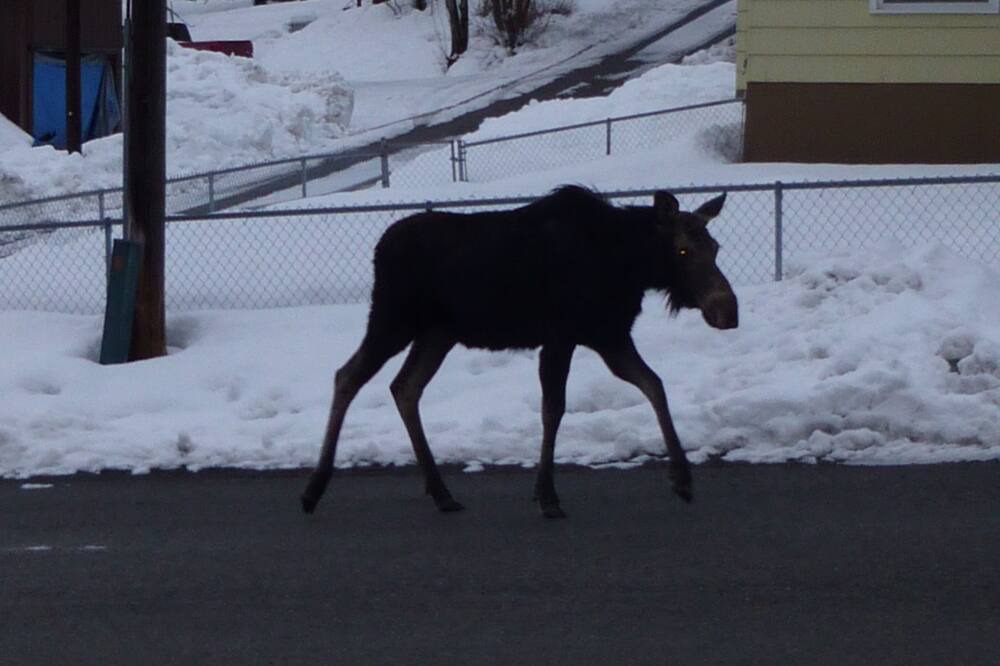 Photo of Others in Mullan