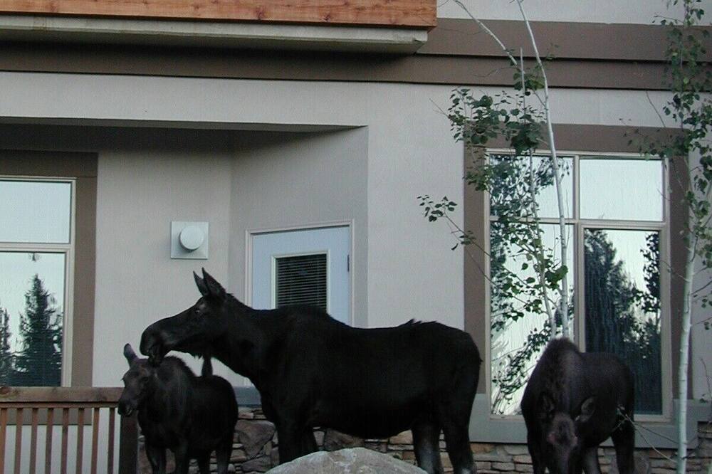 Photo of Others in Salt Lake Mountain Resorts