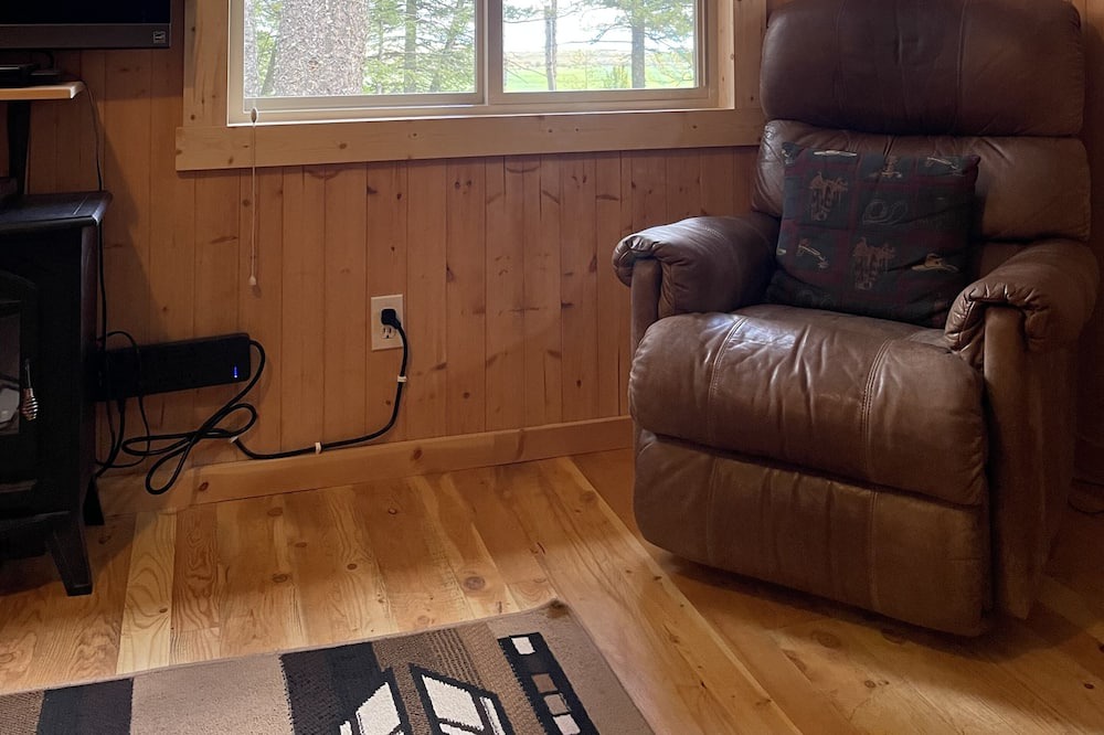 Photo of Livingroom in Island Park