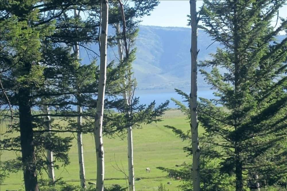 Photo of Outdoor in Island Park