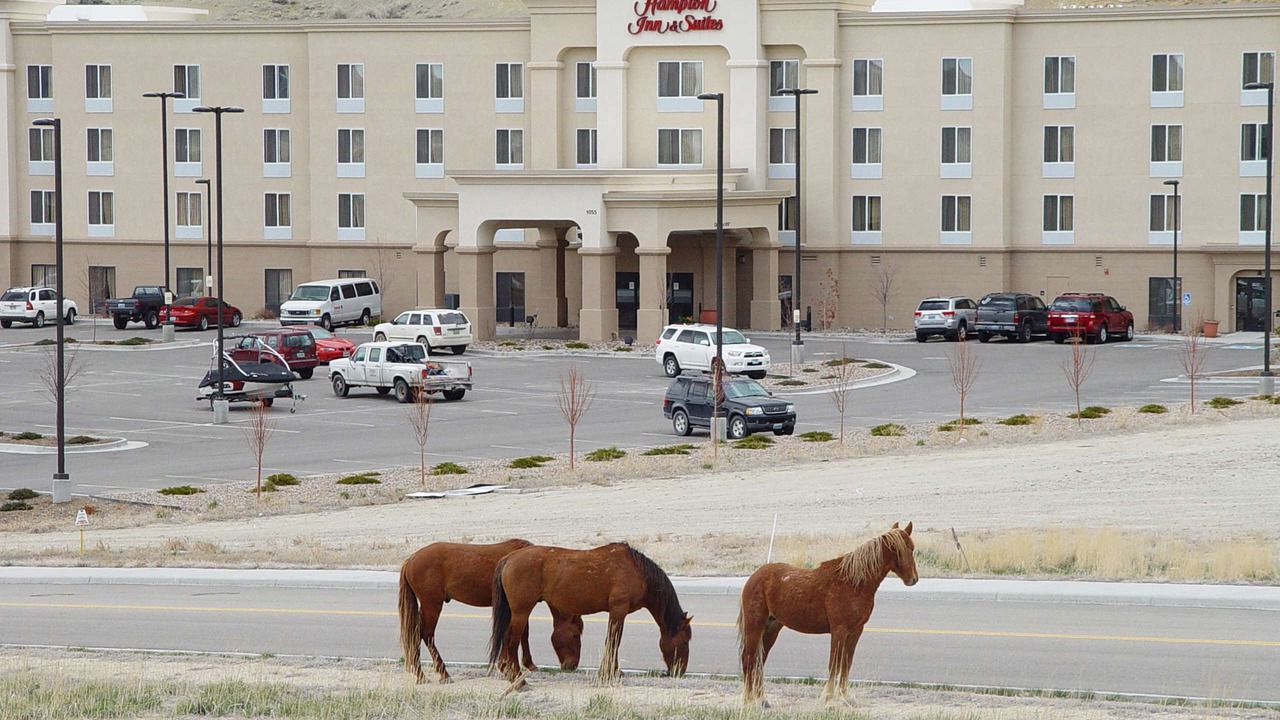 Photo of Outdoor in Green River