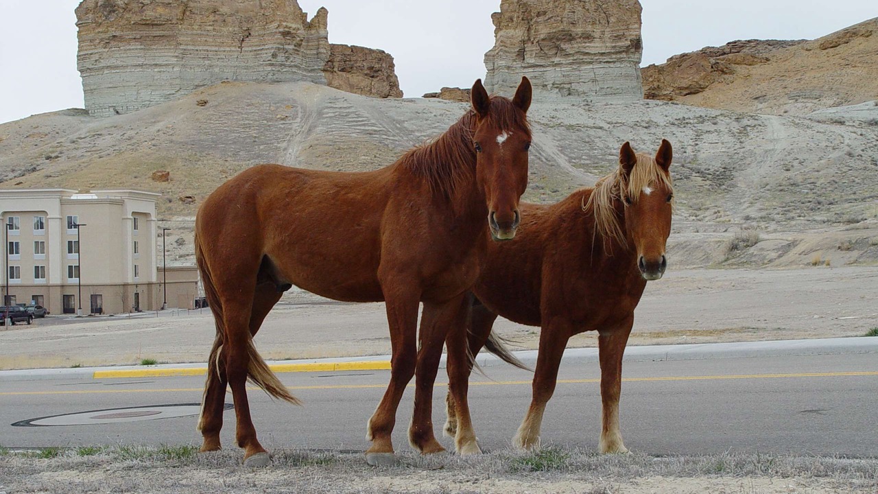 Photo of Outdoor in Green River
