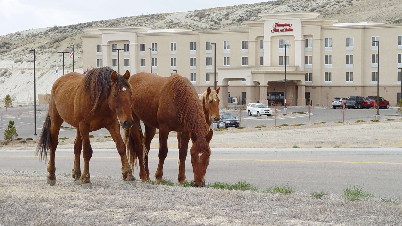 Photo of Others in Green River