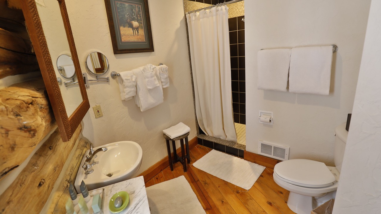 Photo of Bathroom in Wilson