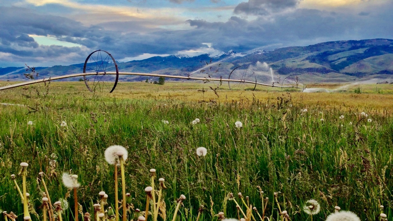 Photo of Outdoor in Spanish Peaks
