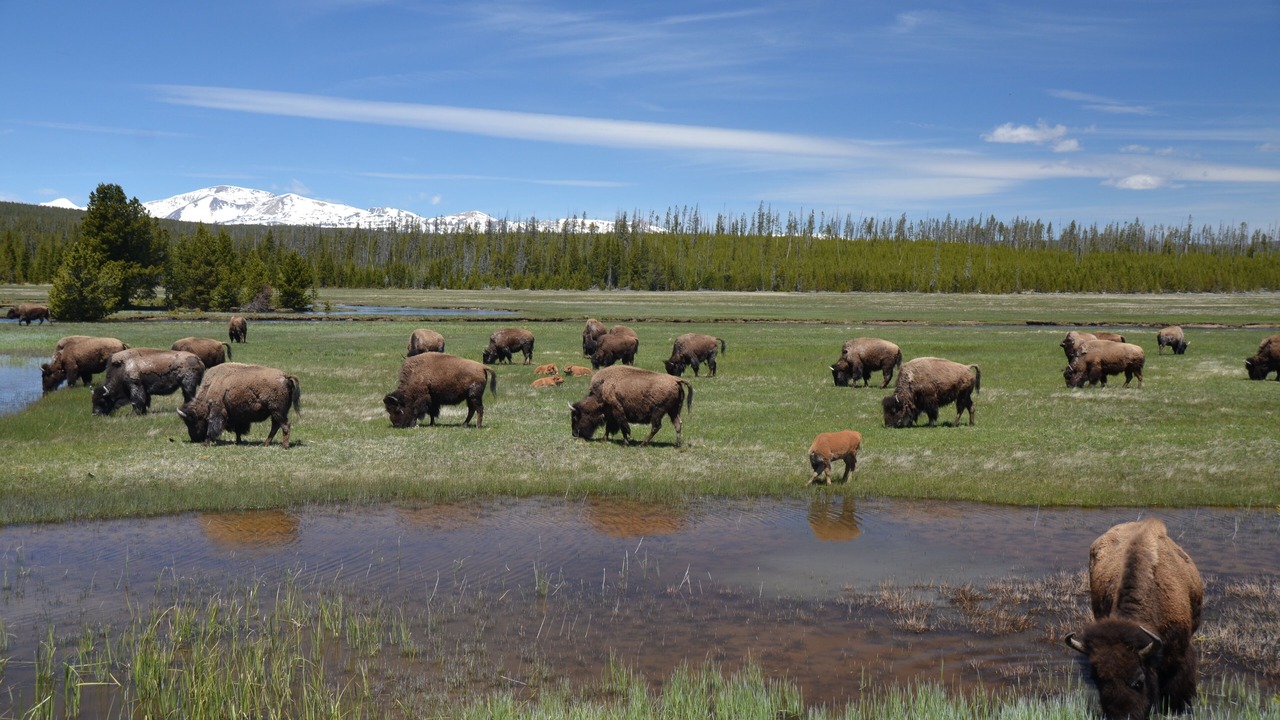 Photo of Outdoor in Spanish Peaks