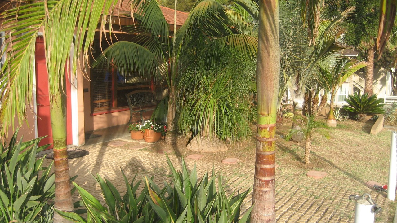 Photo of Outdoor in Old Town