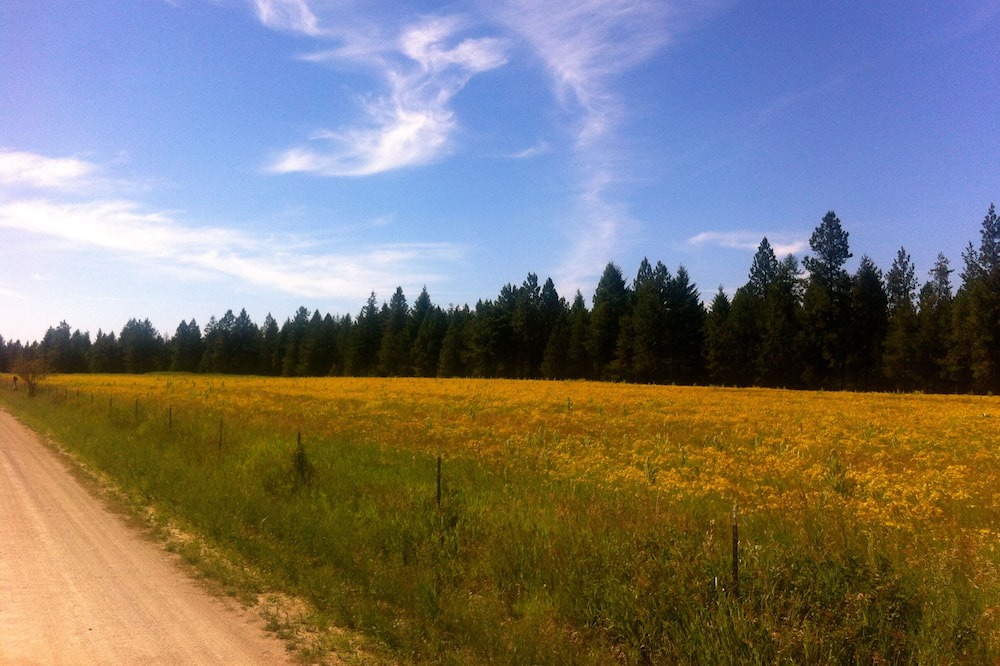 Photo of Outdoor in Athol