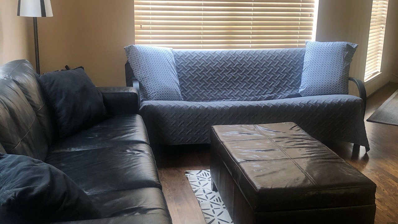 Photo of Livingroom in Spring Branch East