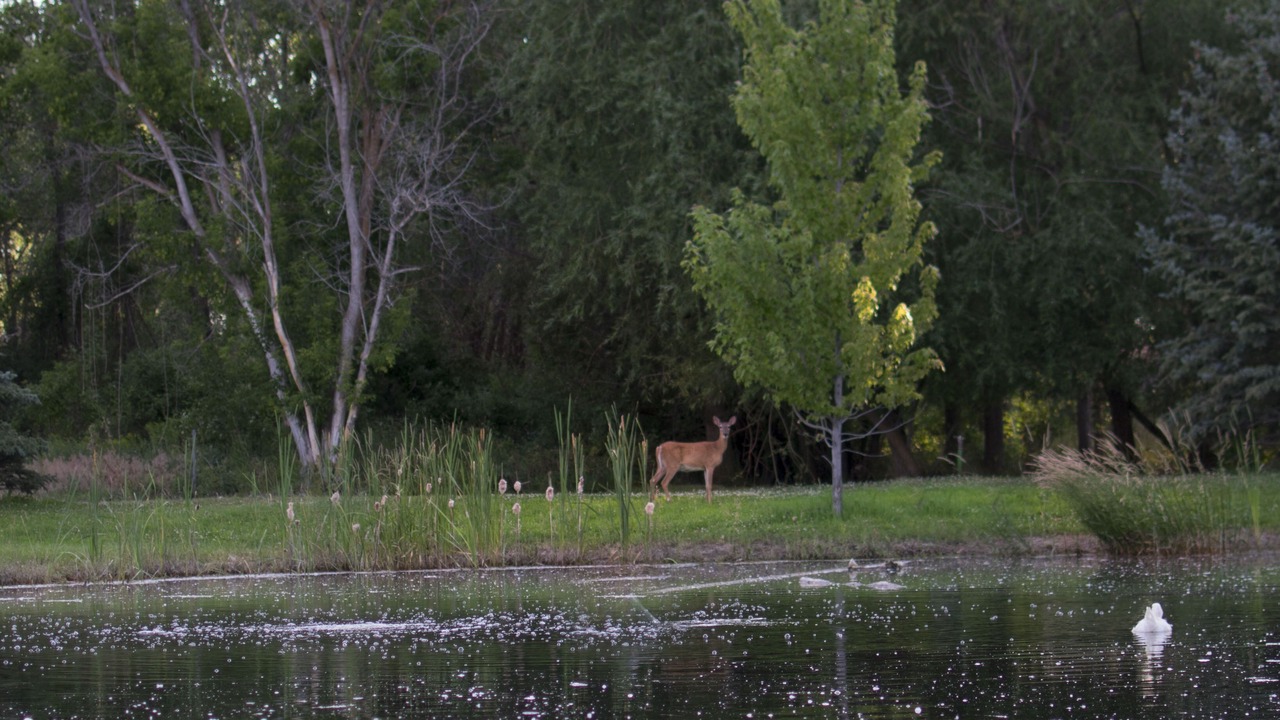 Photo of Outdoor in Rigby