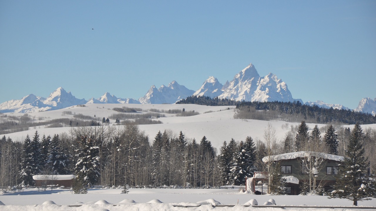 Photo of Outdoor in Moran