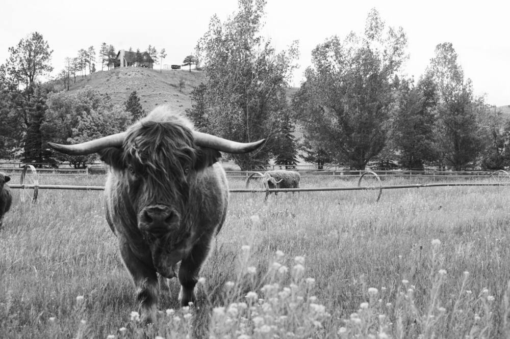 Photo of Others in Helena
