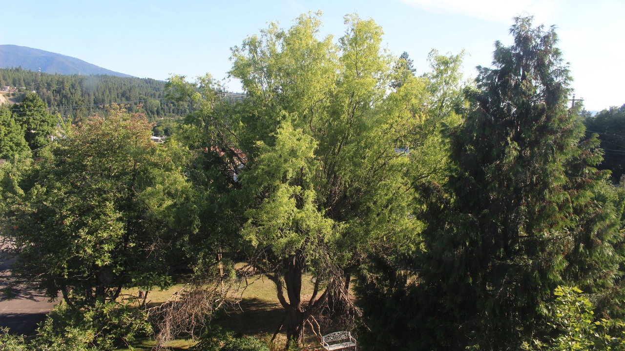 Photo of Outdoor in Bonners Ferry