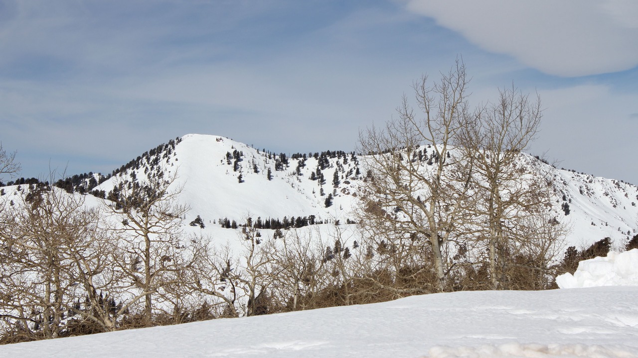 Photo of Others in Powder Ridge Village