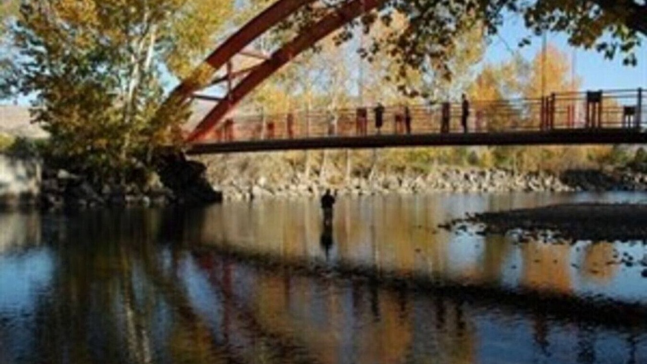 Photo of Others in East End