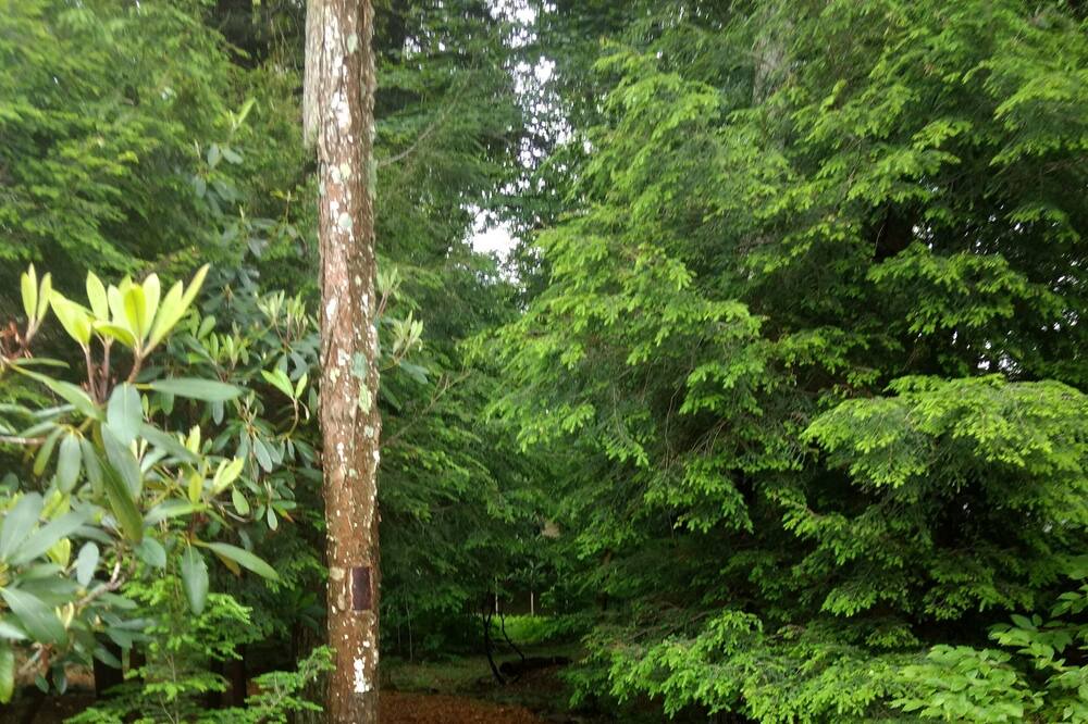 Photo of Outdoor in Pocono Pines