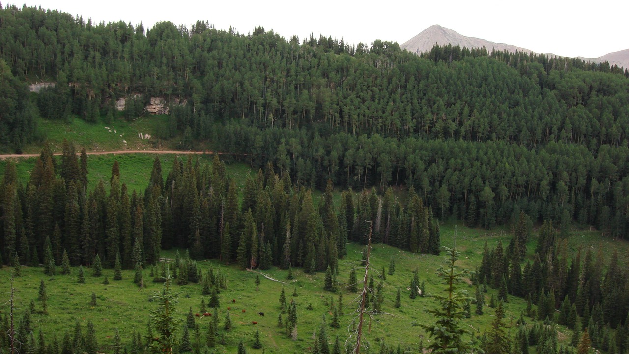 Photo of Outdoor in La Sal