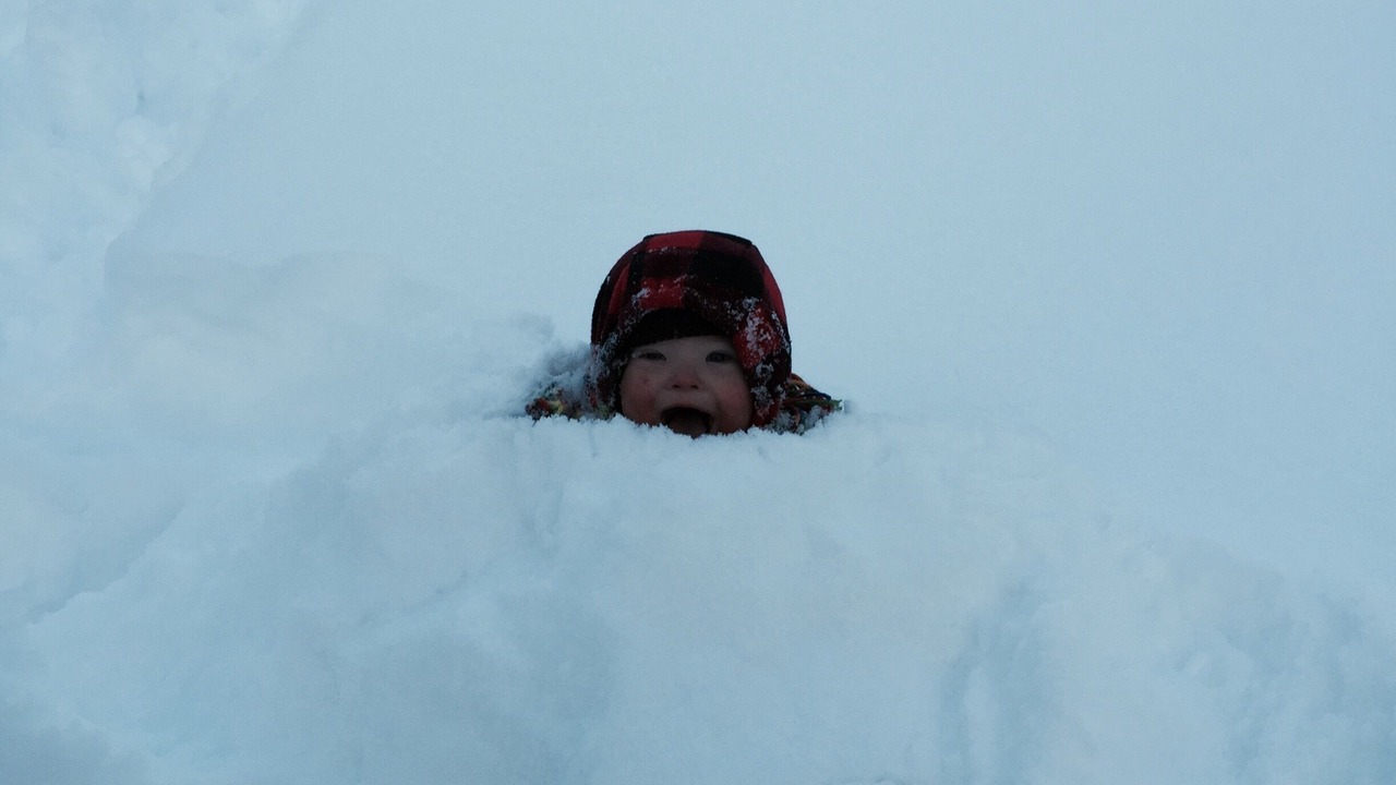 Photo of Others in Moose Wilson Road