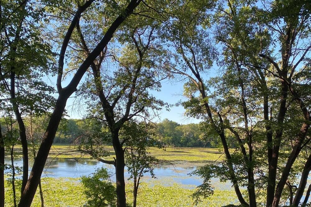 Photo of Outdoor in St. Louis Park