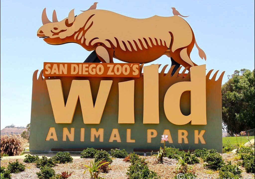 Photo of Outdoor in North Park