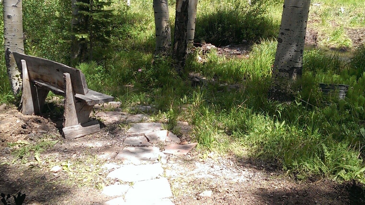 Photo of Outdoor in Albany