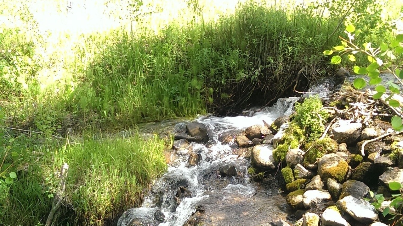 Photo of Outdoor in Albany
