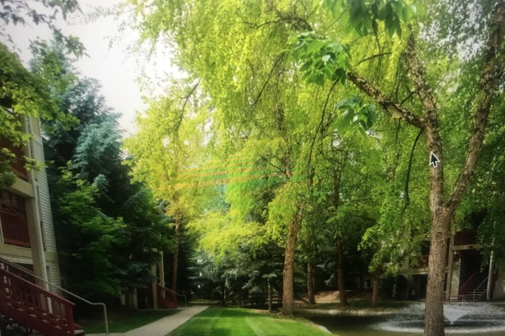 Photo of Outdoor in Franklin - Randolph