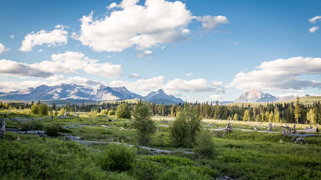 Photo of Outdoor in Polebridge