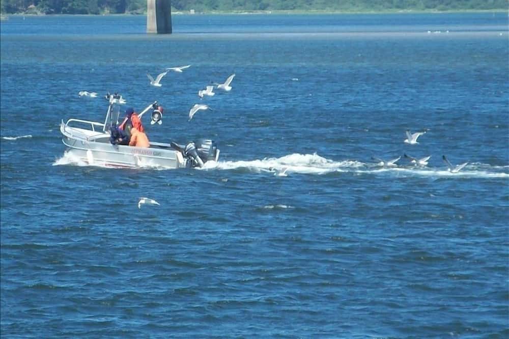 Photo of Others in Bayshore
