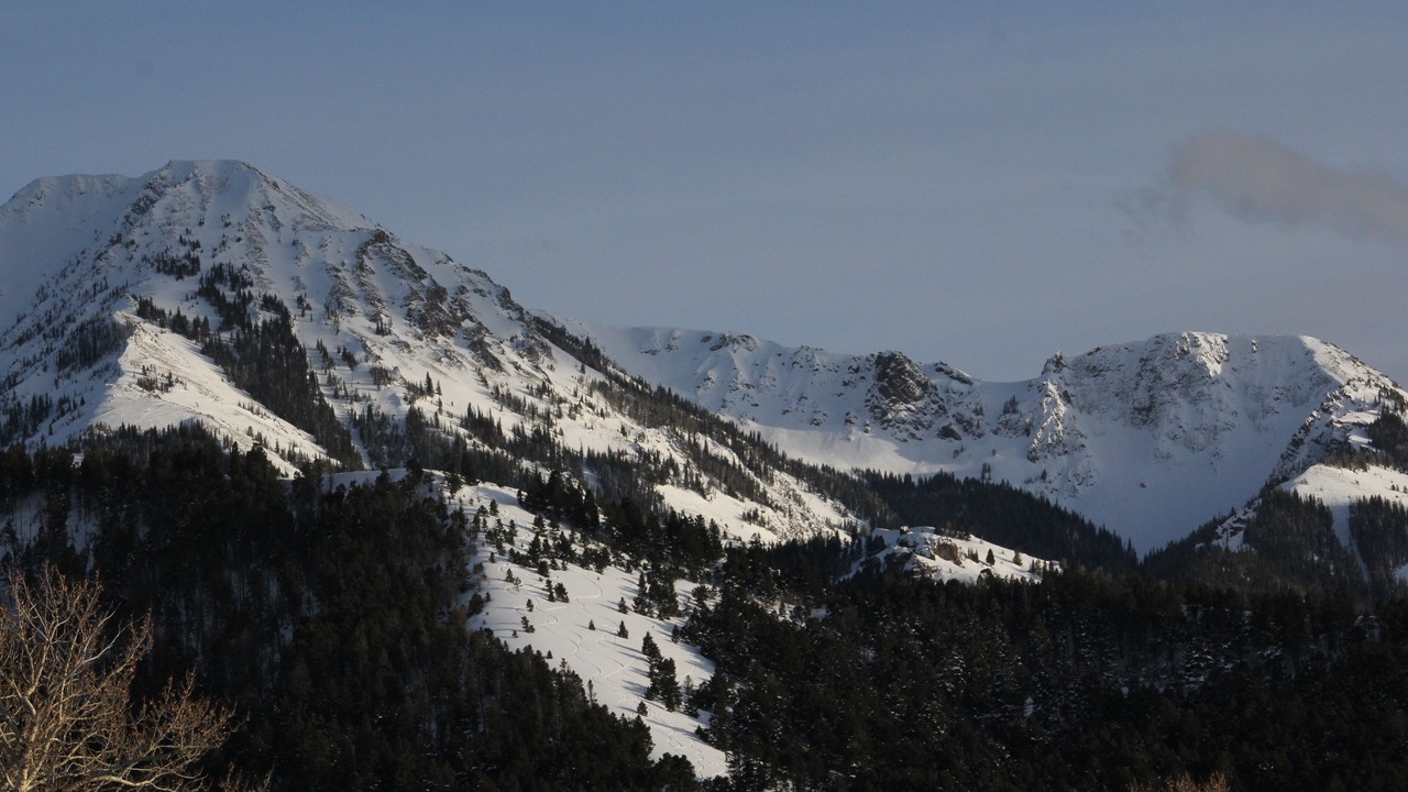 Photo of Others in Emigrant
