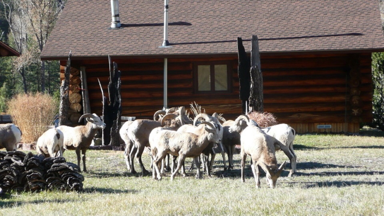 Photo of Outdoor in Clinton