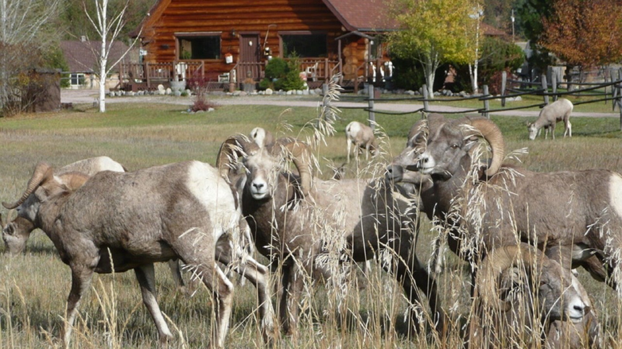 Photo of Outdoor in Clinton