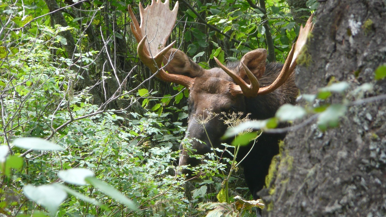 Photo of Outdoor in Clinton
