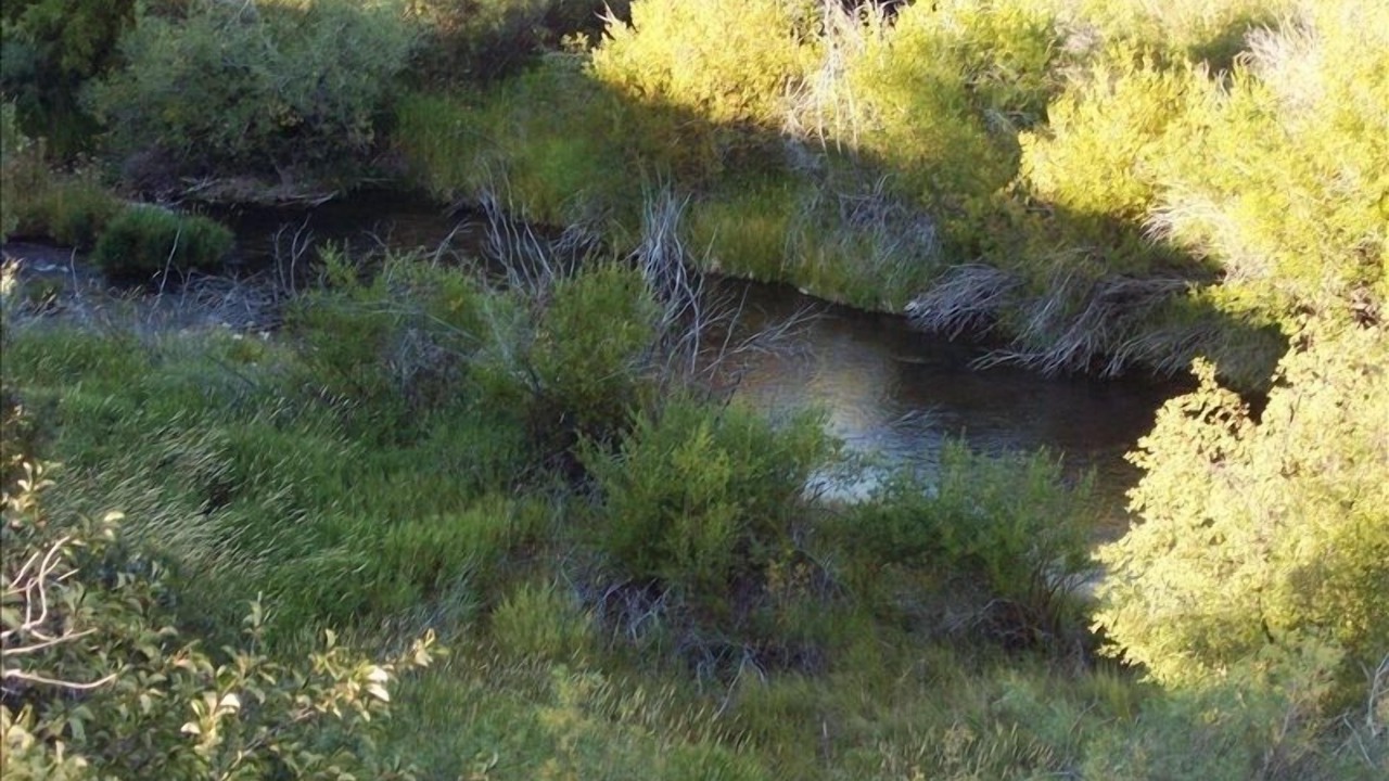 Photo of Outdoor in Shining Mountains