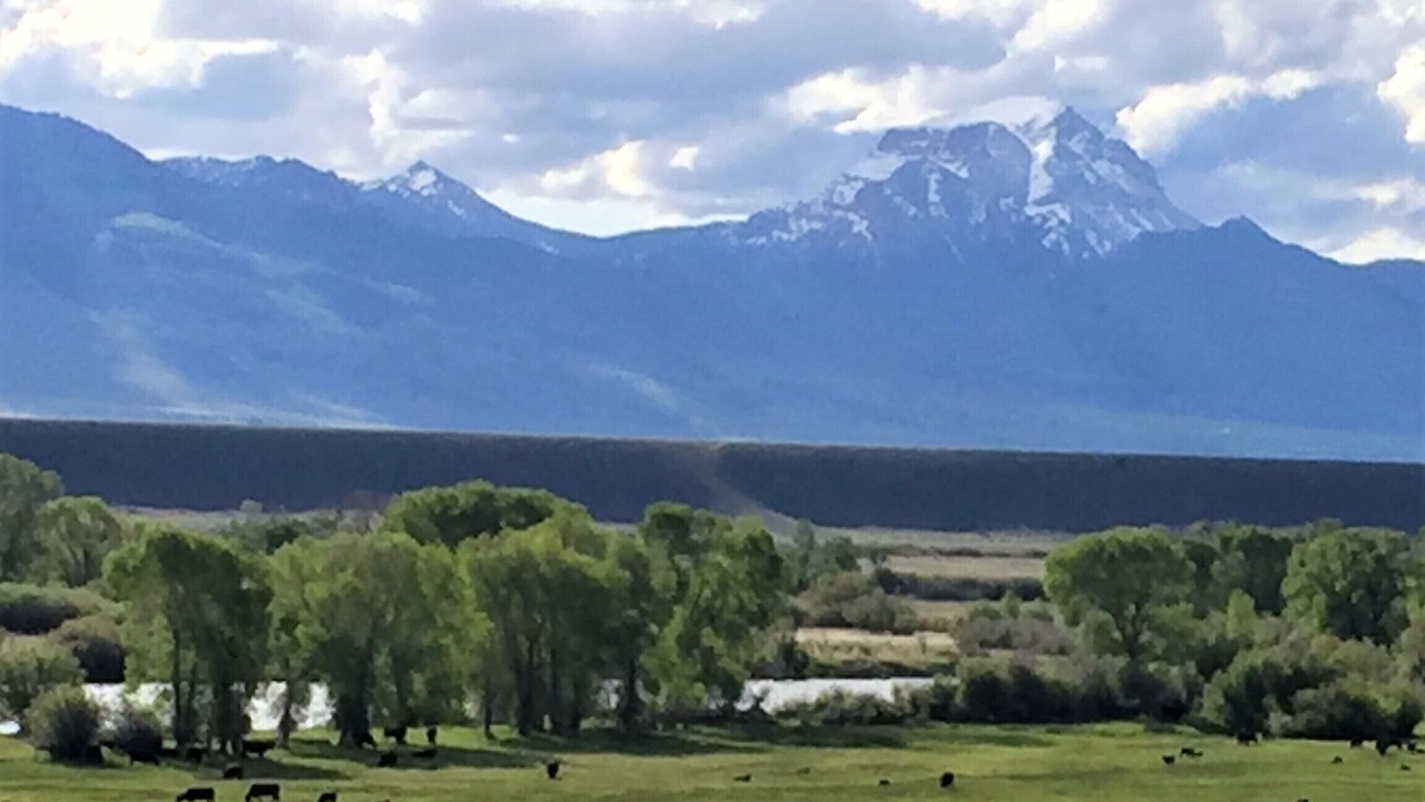 Photo of Others in Shining Mountains