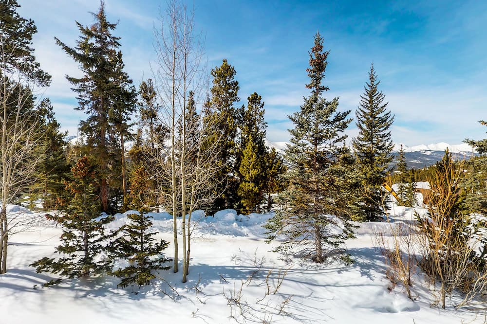Photo of Others in Baldy Mountain
