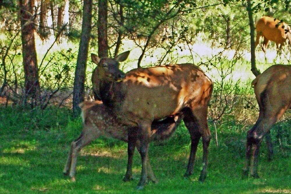 Photo of Others in Grantsdale
