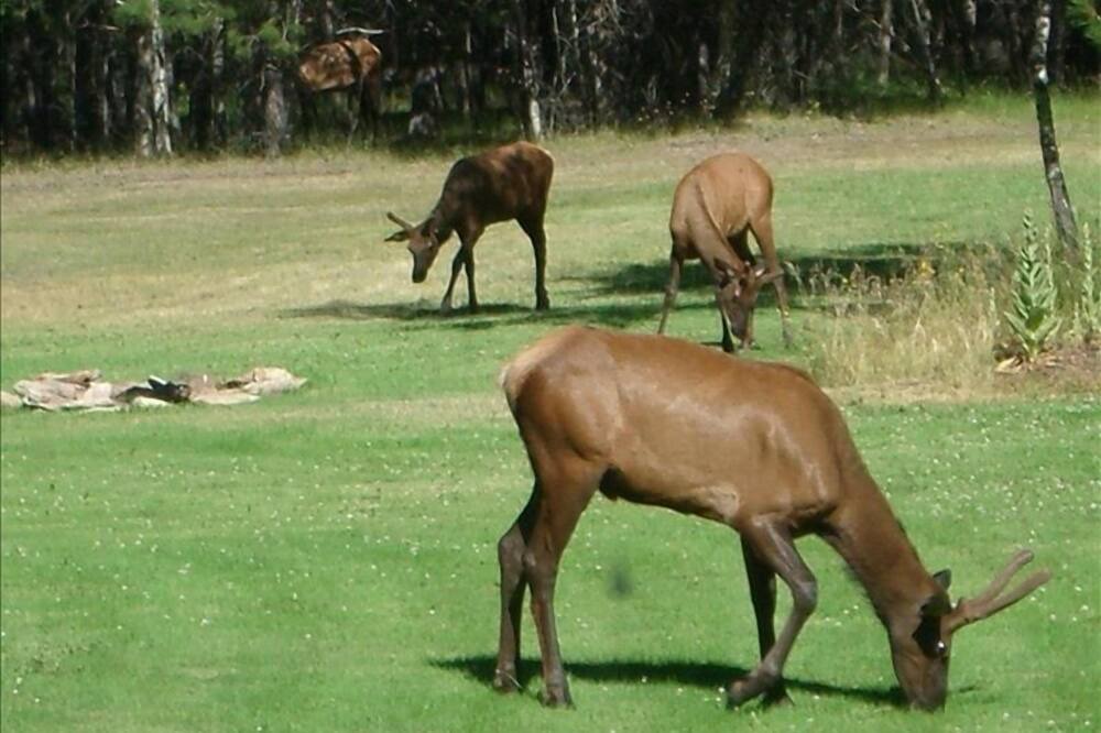Photo of Others in Grantsdale